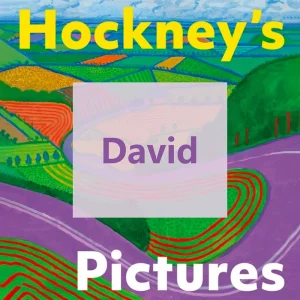 霍克尼全集画册 Hockney's Pictures 霍克尼作品集